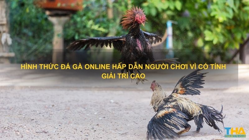 Hình thức đá gà online hấp dẫn người chơi vì có tính giải trí cao