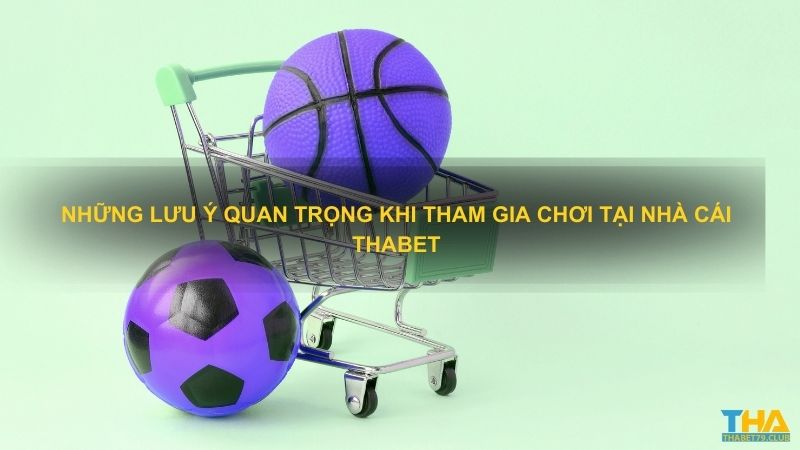 Những lưu ý quan trọng khi tham gia chơi tại nhà cái Thabet