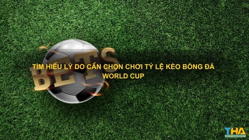 Tìm hiểu lý do cần chọn chơi tỷ lệ kèo bóng đá World Cup